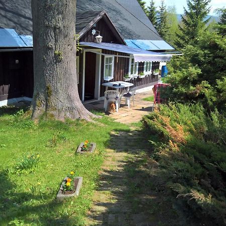 Chata V Srdci Krkonos Villa Kořenov Exteriör bild