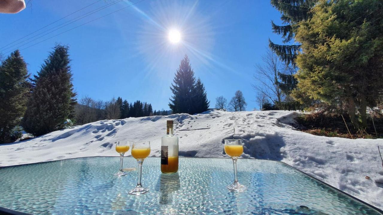 Chata V Srdci Krkonos Villa Kořenov Exteriör bild