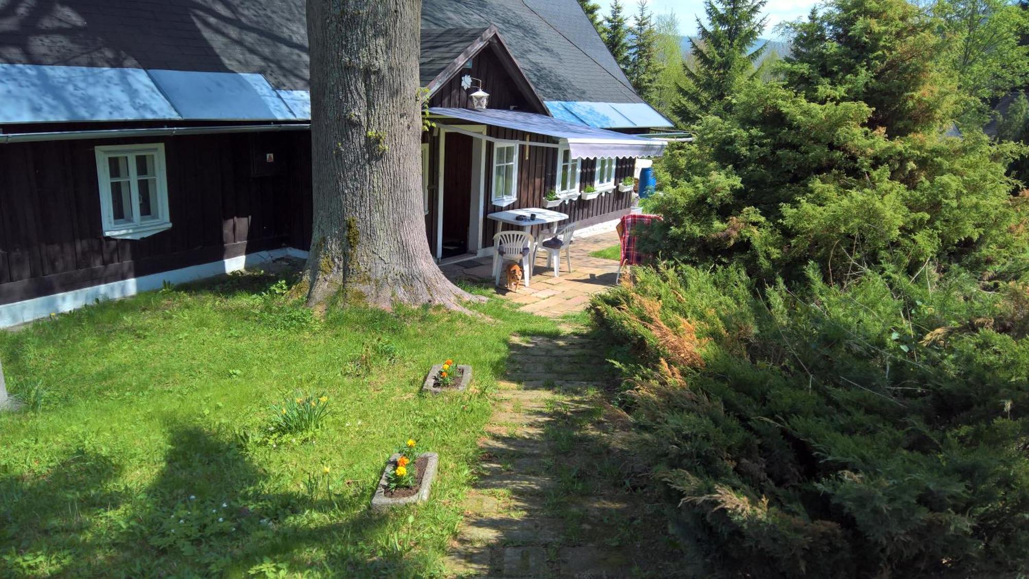 Chata V Srdci Krkonos Villa Kořenov Exteriör bild